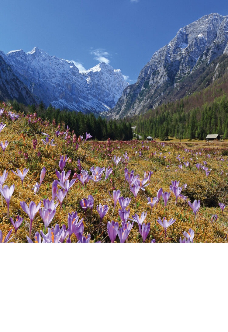 Stenski koledar ALPE SLOVENIJE 2027
