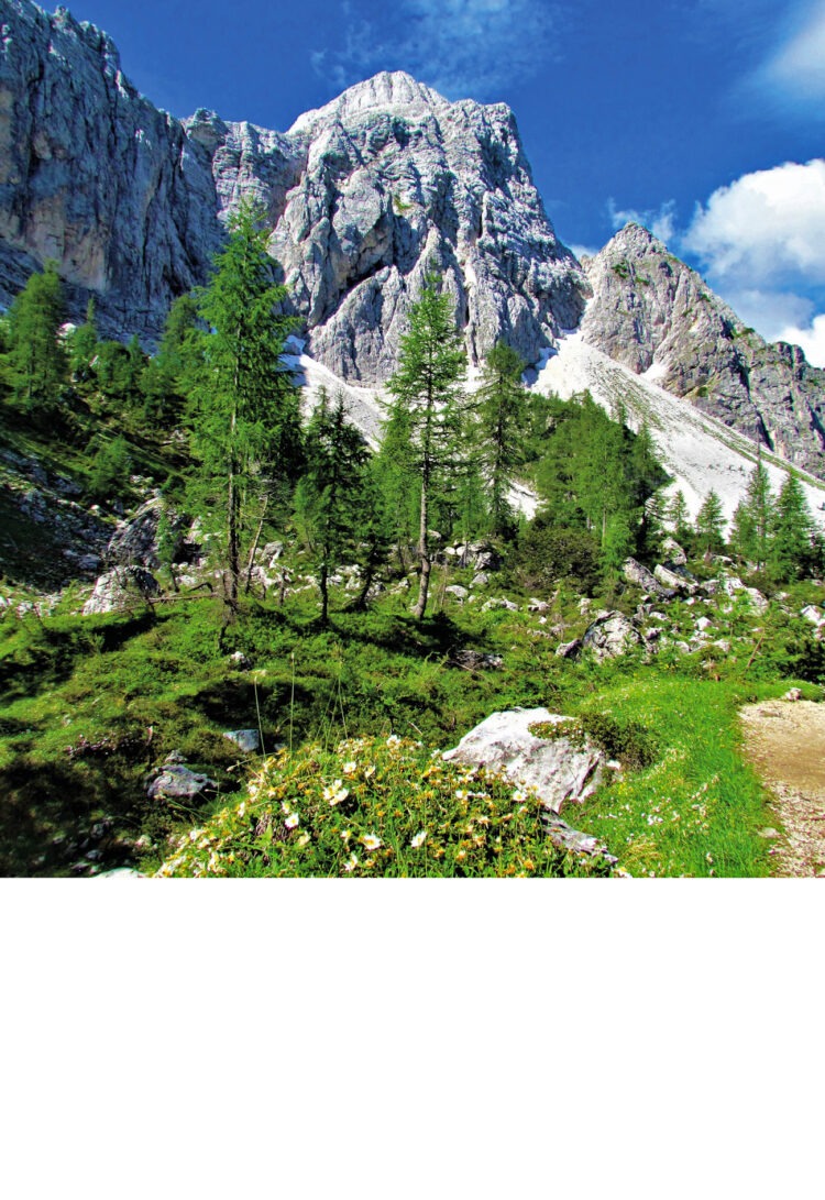 Stenski koledar ALPE SLOVENIJE 2027
